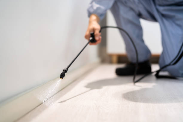 Licensed Pest Control service in Reese, MI - Show Me Pest Control