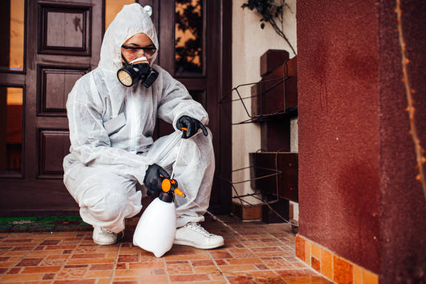 Reliable Ant Control contractor in Reese, MI by Show Me Pest Control