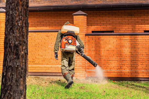 Top rated local Ant Control specialists in Reese, MI